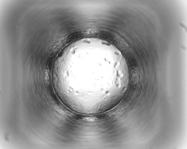 X0000093440654200711021055