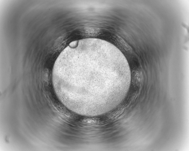 X0000093440655200711021055