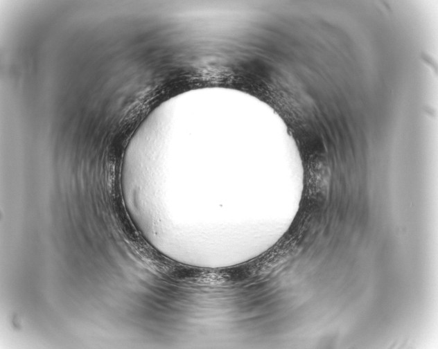 X0000093440656200711021055