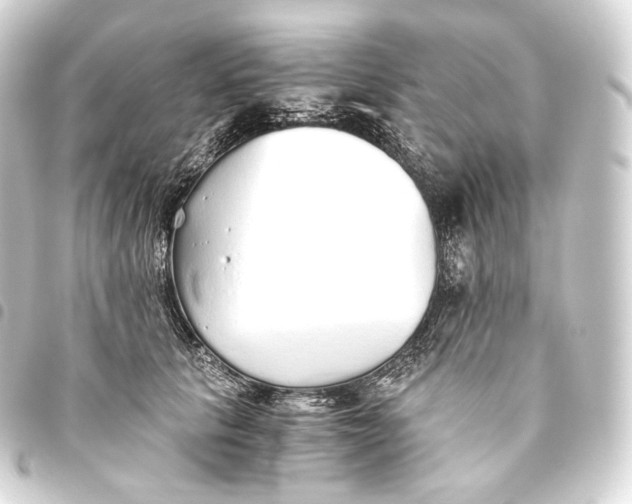 X0000093440657200711021055