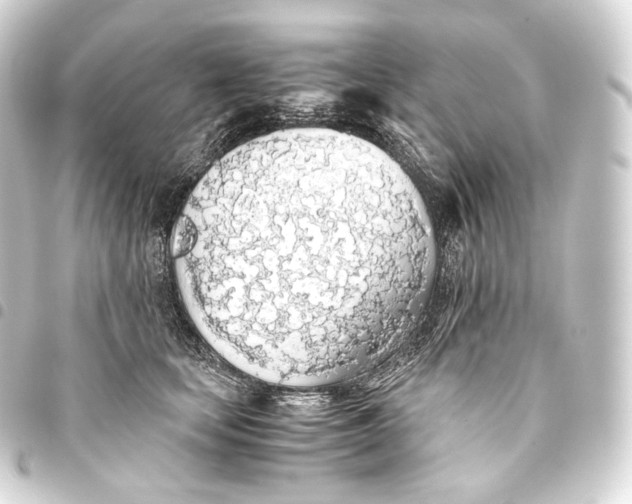 X0000093440659200711021055