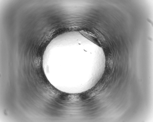 X0000093440660200711021055