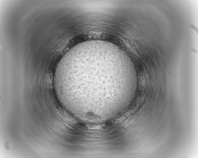 X0000093440661200711021055