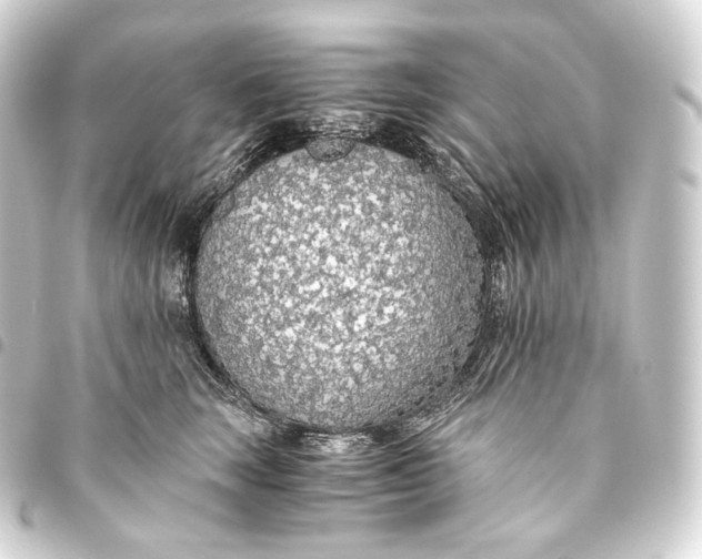 X0000093440663200711021055