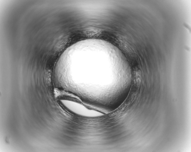 X0000093440664200711021055