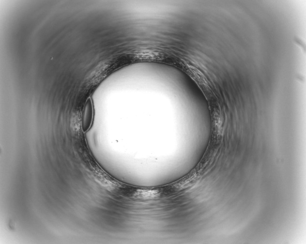 X0000093440665200711021055