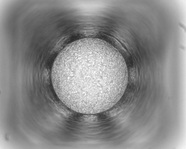 X0000093440667200711021055