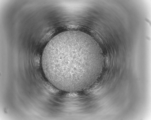 X0000093440668200711021055