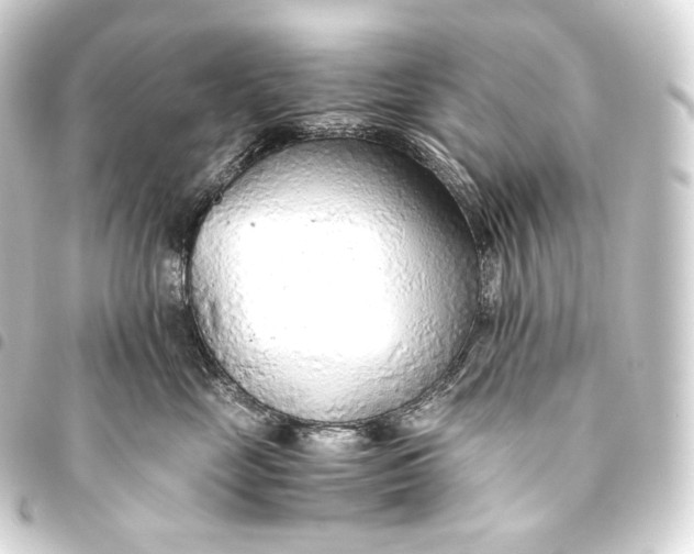 X0000093440669200711021055