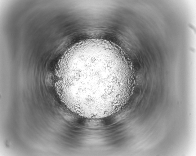 X0000093440671200711021055