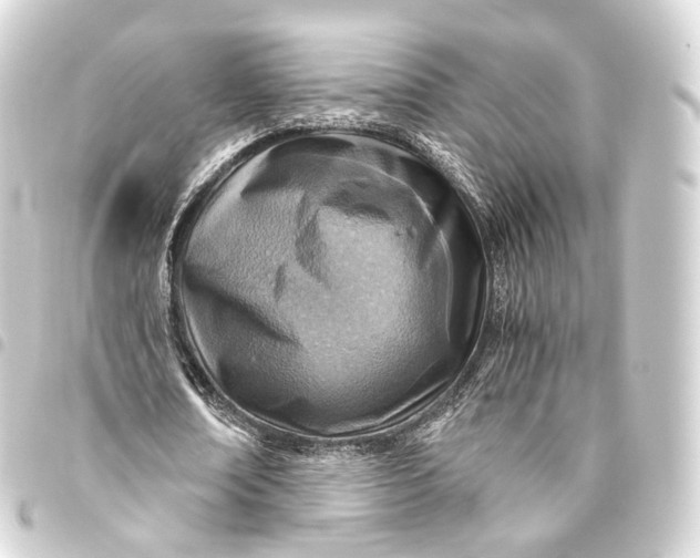 X0000093440674200711021054