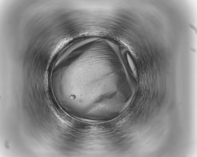 X0000093440678200711021054