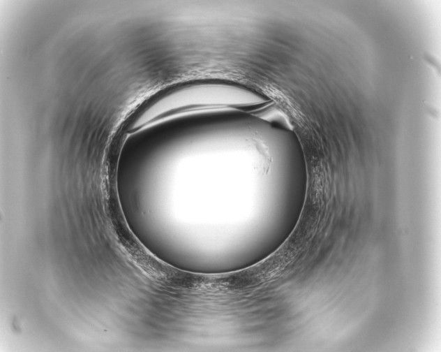 X0000093440680200711021054