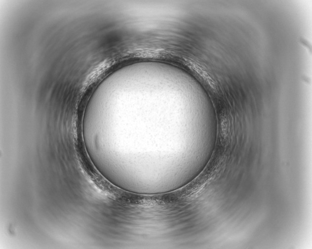 X0000093440682200711021054