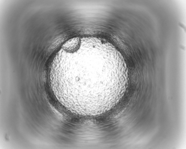 X0000093440683200711021054