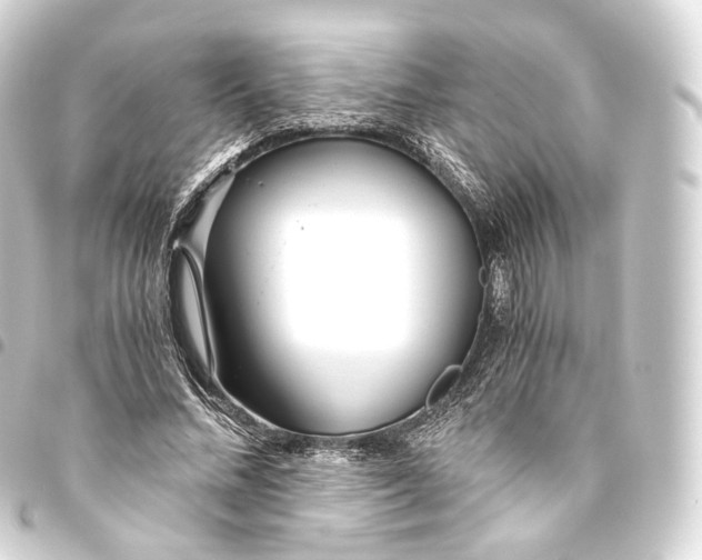 X0000093440684200711021054