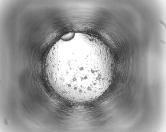 X0000093440687200711021054