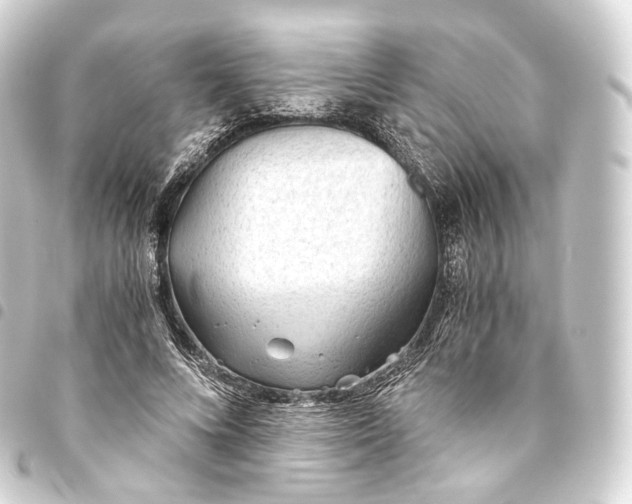 X0000093440688200711021054