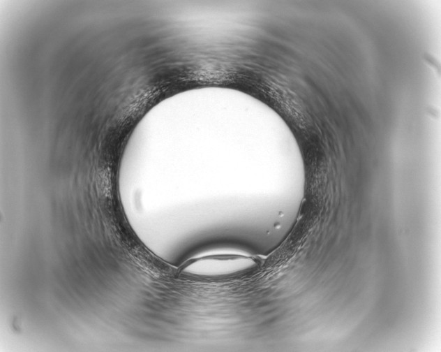 X0000093440689200711021054