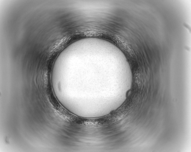 X0000093440690200711021054