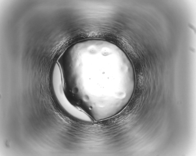 X0000093440691200711021054