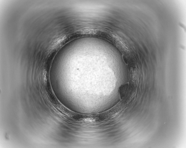 X0000093440692200711021054