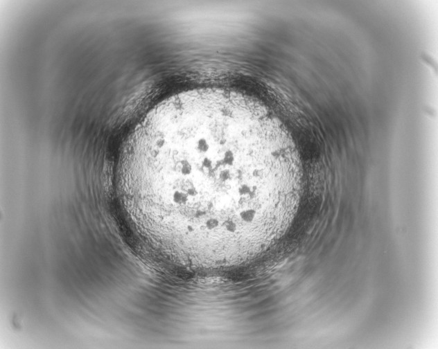 X0000093440695200711021054