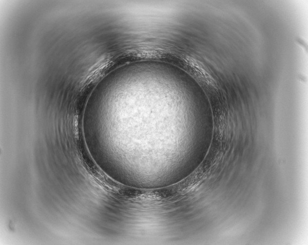 X0000093440696200711021054