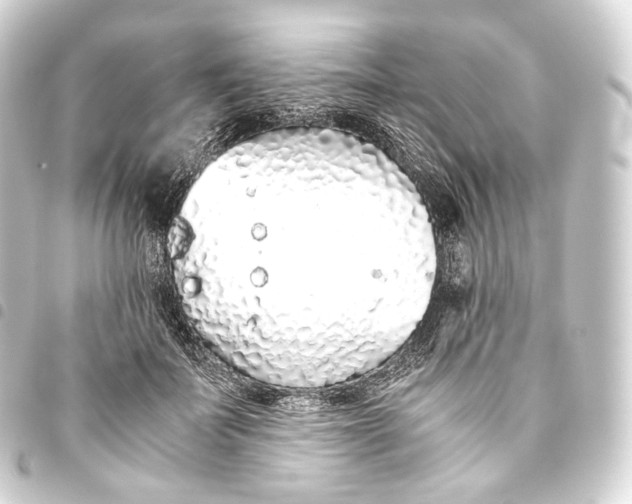 X0000093440699200711021054