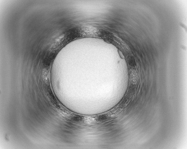 X0000093440701200711021054