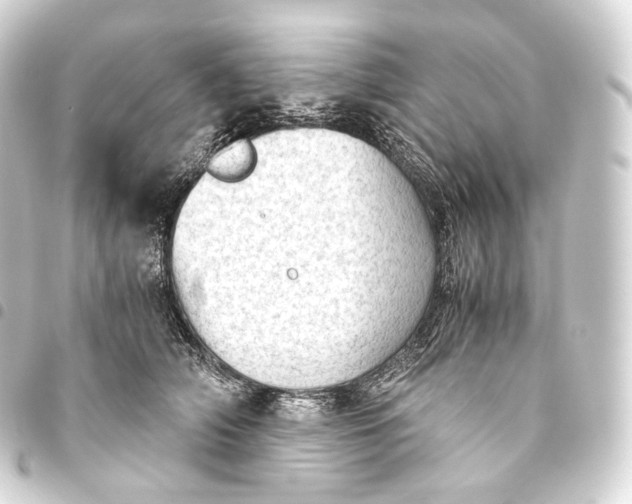 X0000093440706200711021054