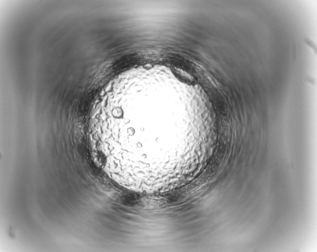 X0000093440707200711021054