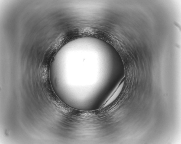 X0000093440708200711021054