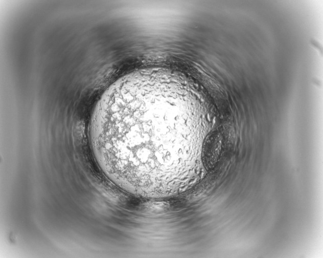 X0000093440711200711021054