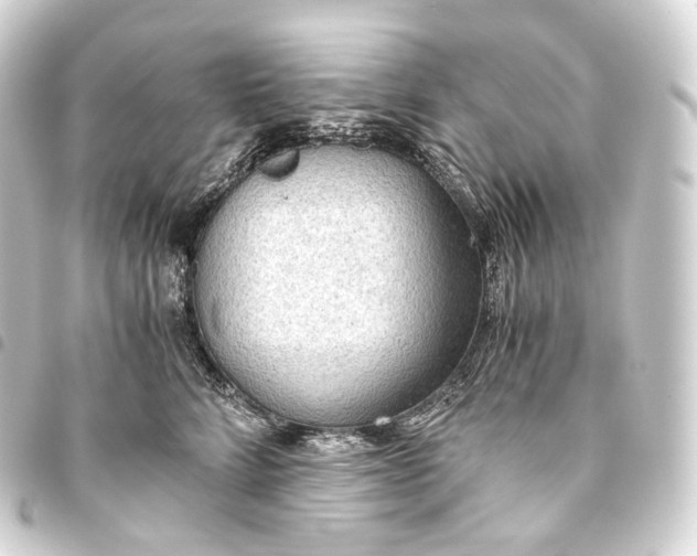 X0000093440712200711021054