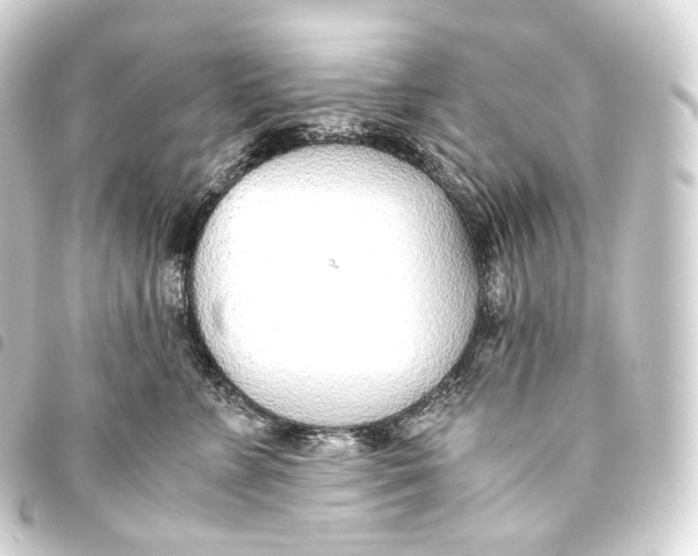 X0000093440715200711021054