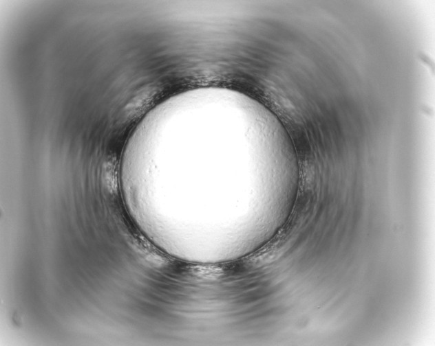 X0000093440719200711021054