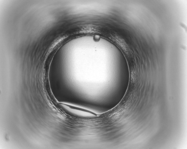 X0000093440724200711021053