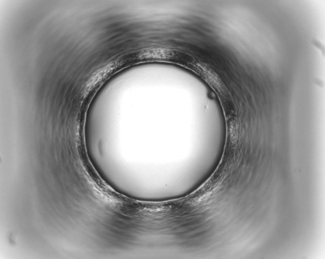 X0000093440725200711021053