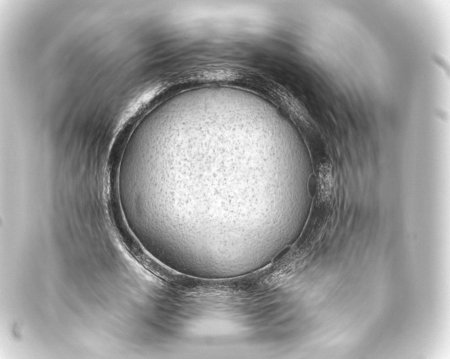 X0000093440726200711021053