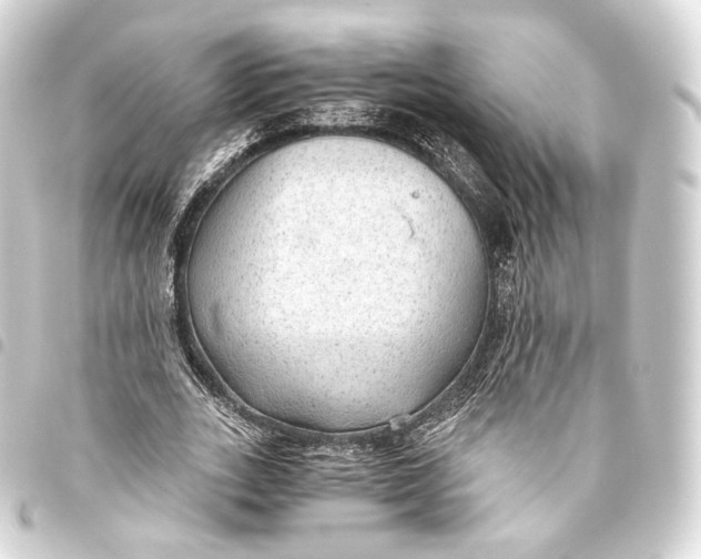 X0000093440727200711021053