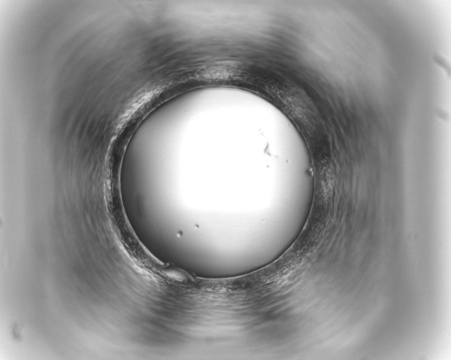 X0000093440728200711021053