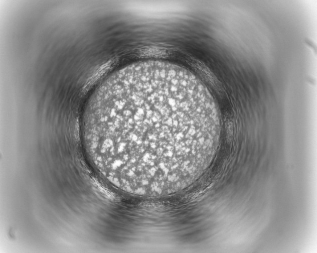 X0000093440729200711021053