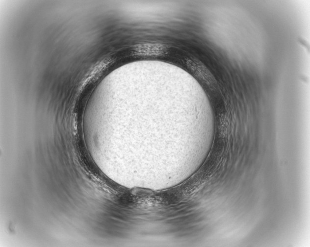 X0000093440731200711021053