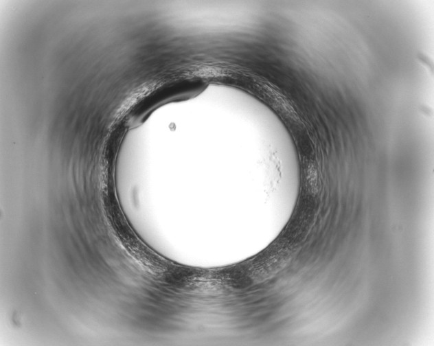 X0000093440732200711021053