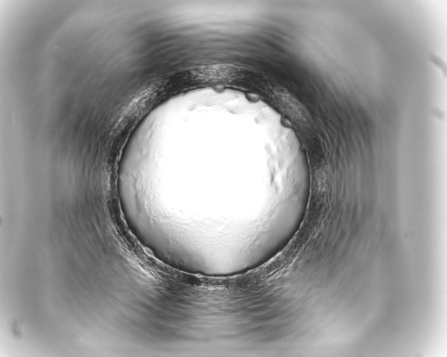 X0000093440733200711021053