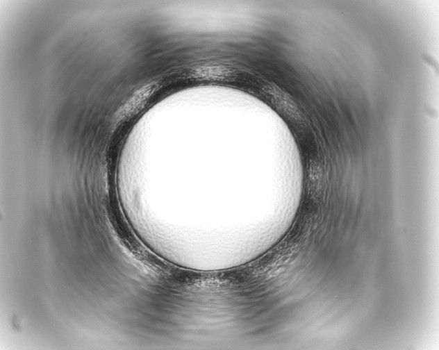 X0000093440734200711021053