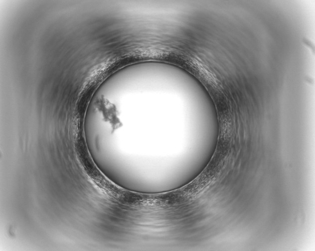 X0000093440736200711021053