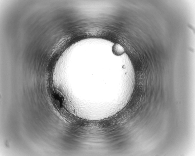 X0000093440738200711021053