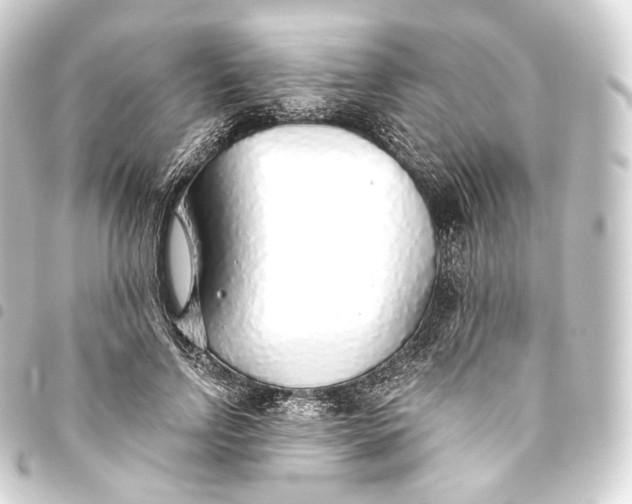 X0000093440742200711021053